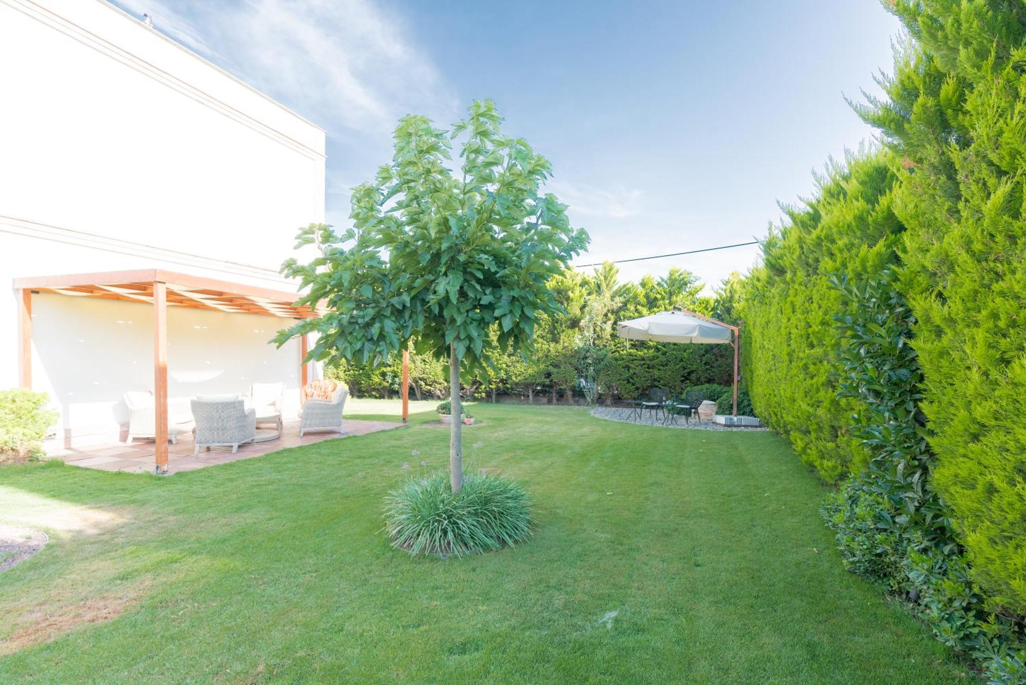 Elia Hotel Cunda By Ortunc Ayvalı Kültér fotó